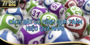 Hướng Dẫn Soi Cầu Lô Hình Quả Trám Chi Tiết Từng Bước