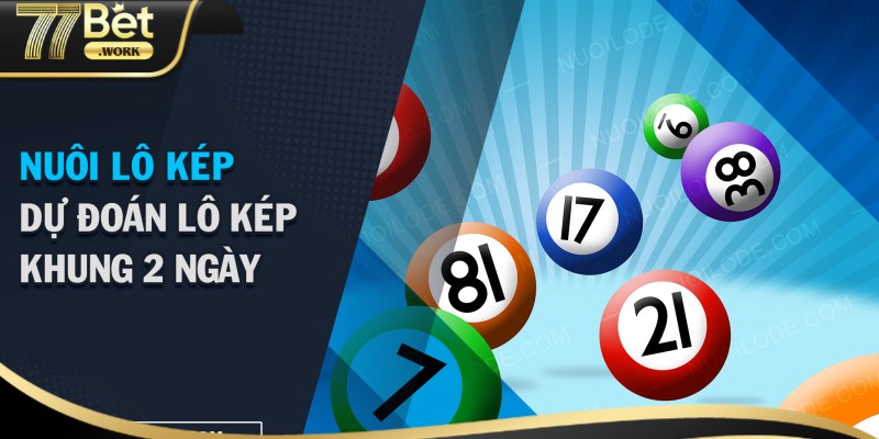 Phương pháp tính toán để nuôi bạch thủ lô kép trong vòng 2 ngày